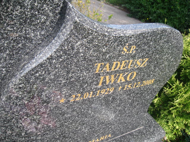 Tadeusz Iwko 1929 Elbląg - Grobonet - Wyszukiwarka osób pochowanych