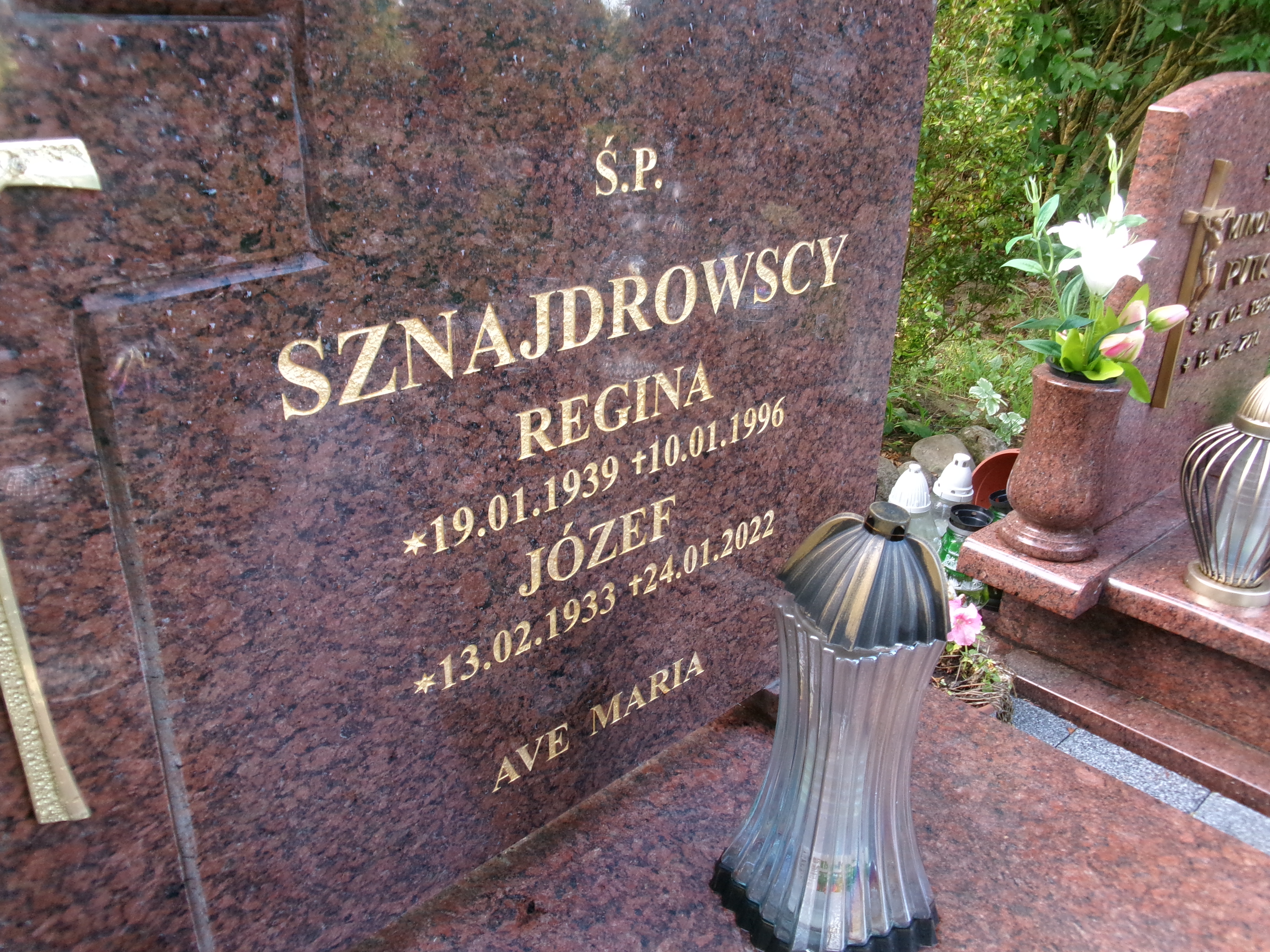 Regina Sznajdrowska 1939 Elbląg - Grobonet - Wyszukiwarka osób pochowanych