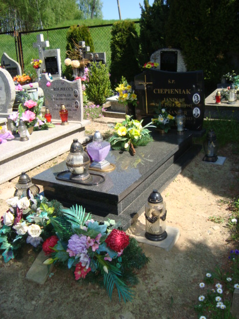 Janina Ciepieniak 1935 Elbląg - Grobonet - Wyszukiwarka osób pochowanych