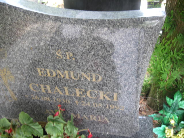 Gabriel Nowakowski 2013 Elbląg - Grobonet - Wyszukiwarka osób pochowanych