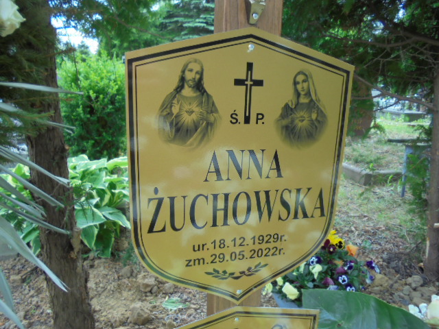 Anna Żuchowska 1929 Elbląg - Grobonet - Wyszukiwarka osób pochowanych