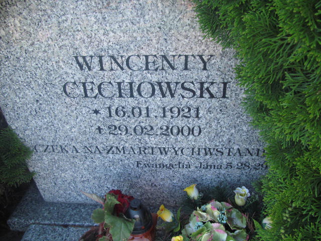 Wincenty Cechowski 1921 Elbląg - Grobonet - Wyszukiwarka osób pochowanych