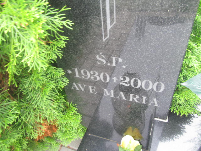 Mieczysław Szewczyk 1930 Elbląg - Grobonet - Wyszukiwarka osób pochowanych