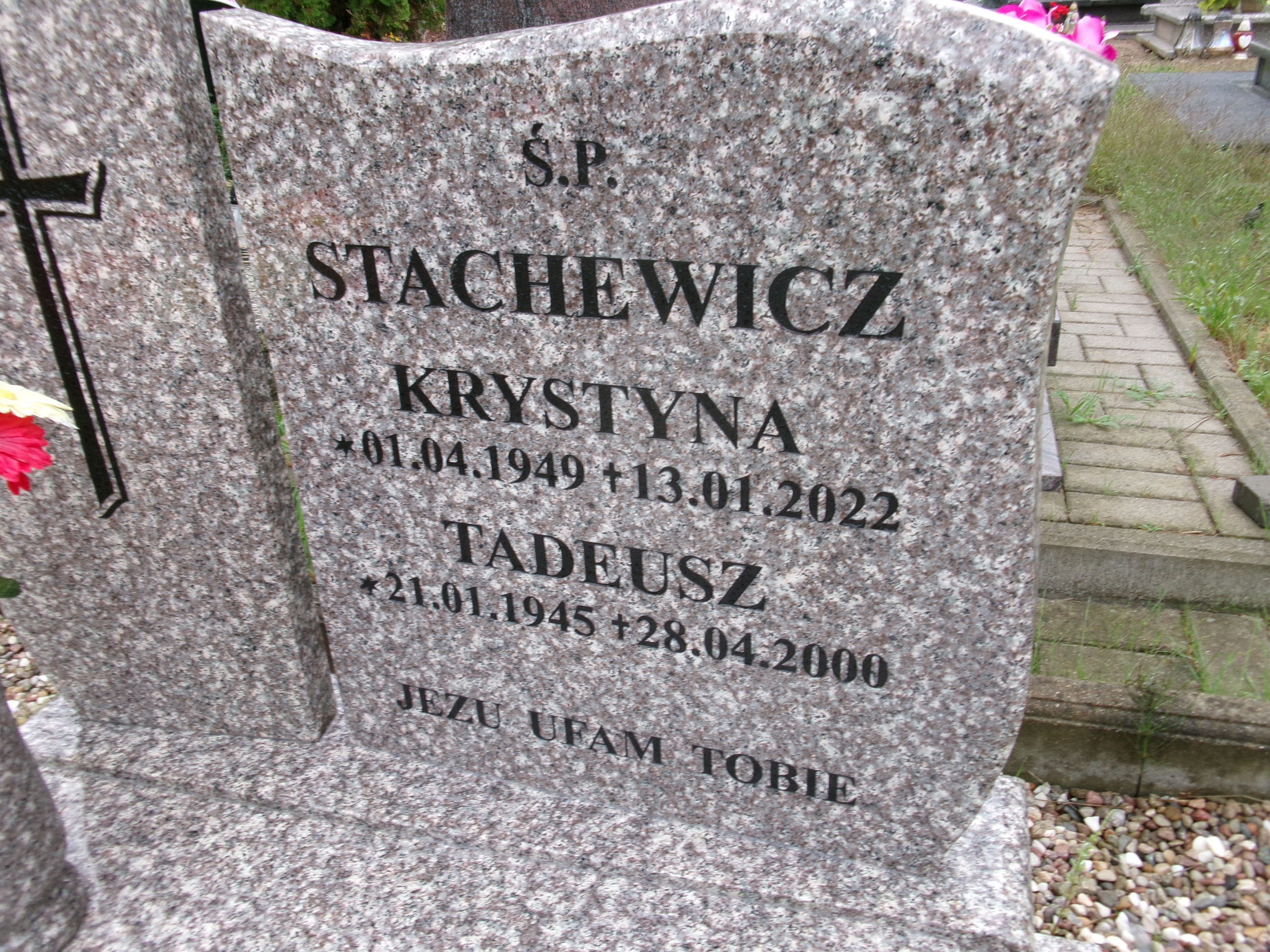 Krystyna Stachewicz 1949 Elbląg - Grobonet - Wyszukiwarka osób pochowanych