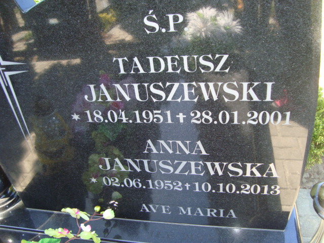 Grób Tadeusz Januszewski