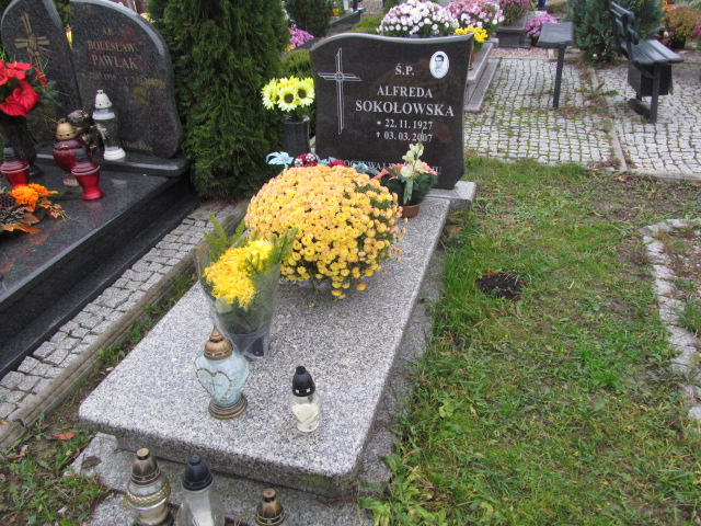 Grób Alfreda Sokołowska