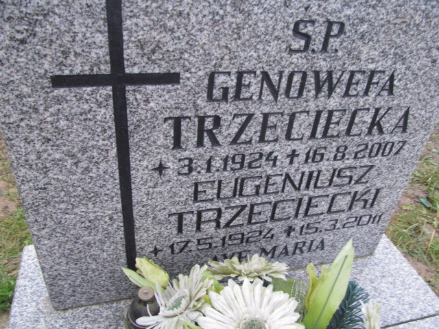 Genowefa Trzeciecka 1924 Elbląg - Grobonet - Wyszukiwarka osób pochowanych