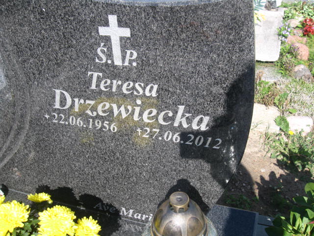 Jan   Kazimierz Drzewiecki 1952 Elbląg - Grobonet - Wyszukiwarka osób pochowanych