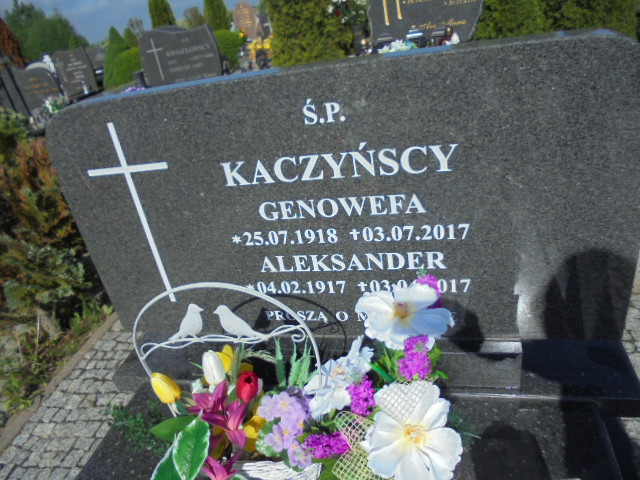 Aleksander Kaczyński  1917 Elbląg - Grobonet - Wyszukiwarka osób pochowanych