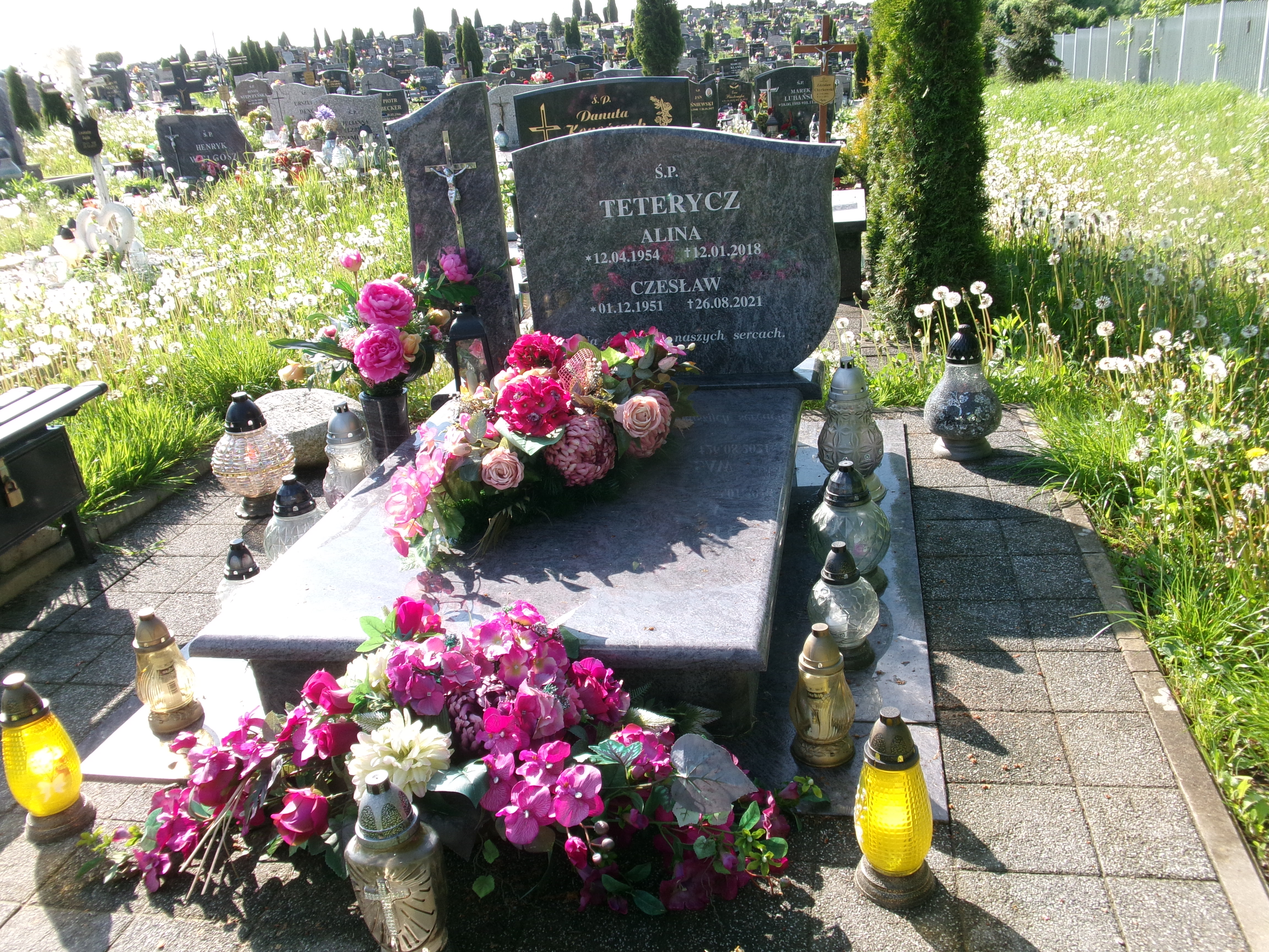 Grób Alina Teterycz