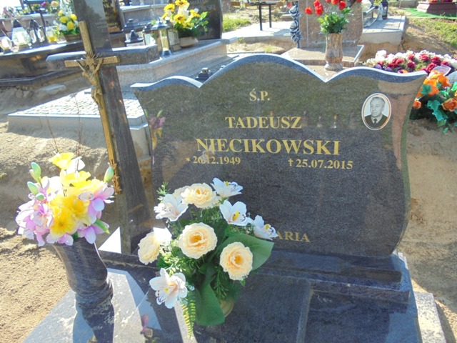 Tadeusz Niecikowski 1949 Elbląg - Grobonet - Wyszukiwarka osób pochowanych
