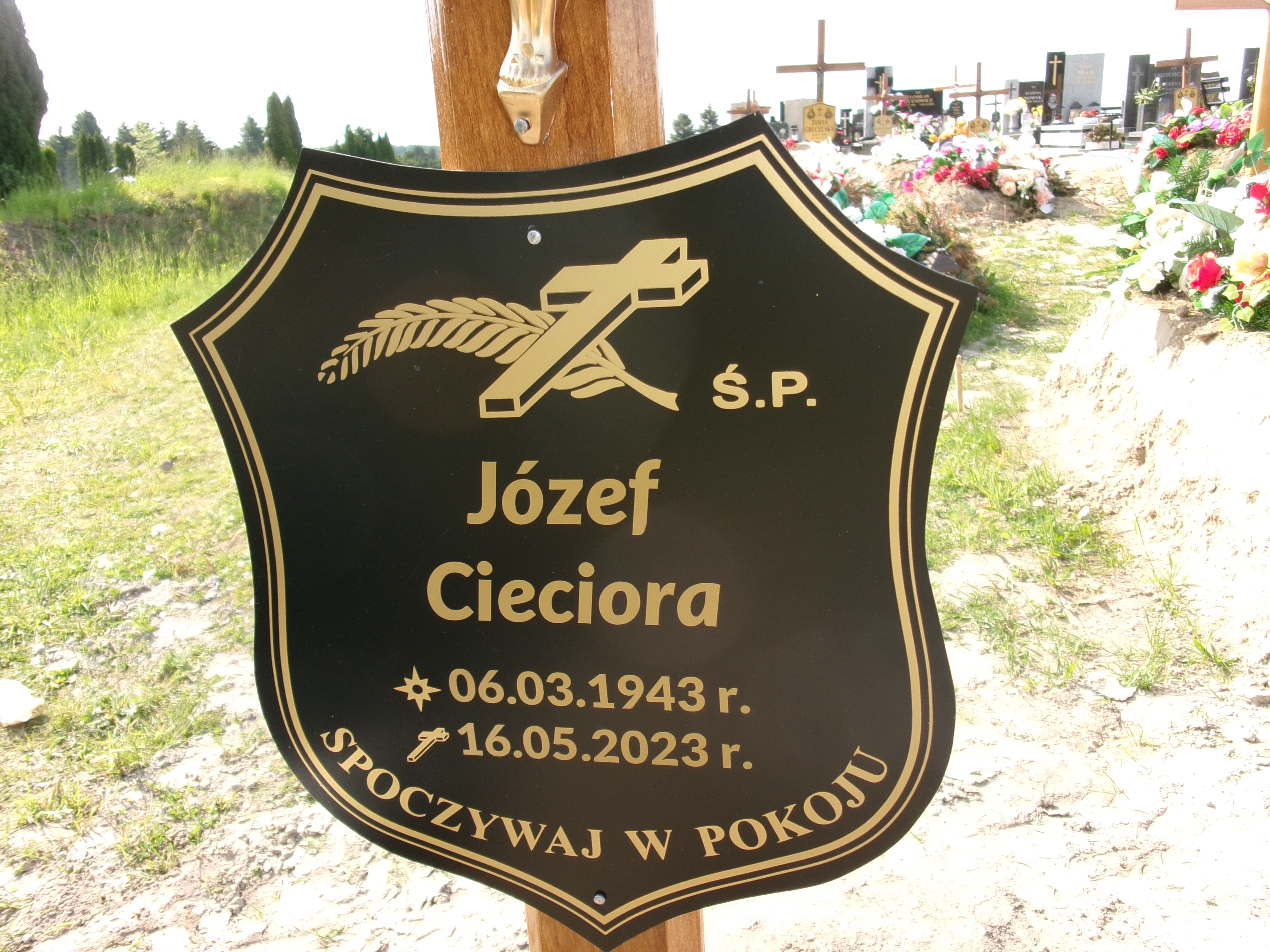 Józef Cieciora 1943 Elbląg - Grobonet - Wyszukiwarka osób pochowanych