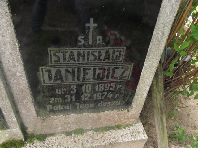 Antonina Janiewicz 1898 Elbląg - Grobonet - Wyszukiwarka osób pochowanych