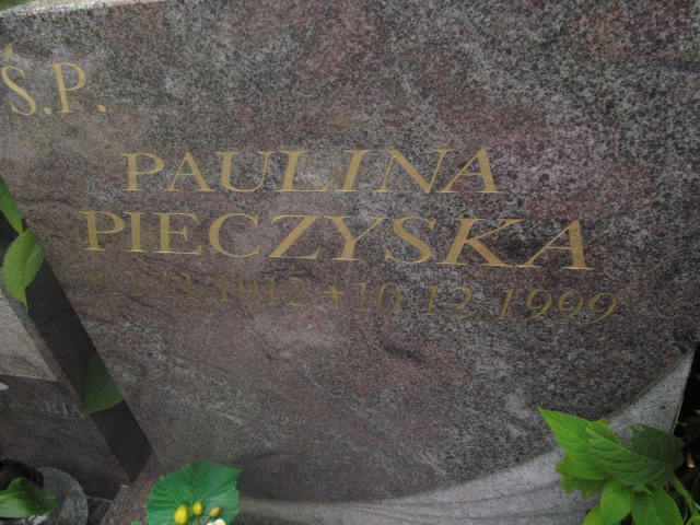 Marek Czarniecki 1962 Elbląg - Grobonet - Wyszukiwarka osób pochowanych