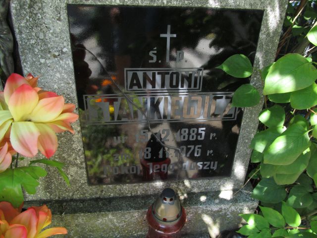 Antoni Stankiewicz 1885 Elbląg - Grobonet - Wyszukiwarka osób pochowanych