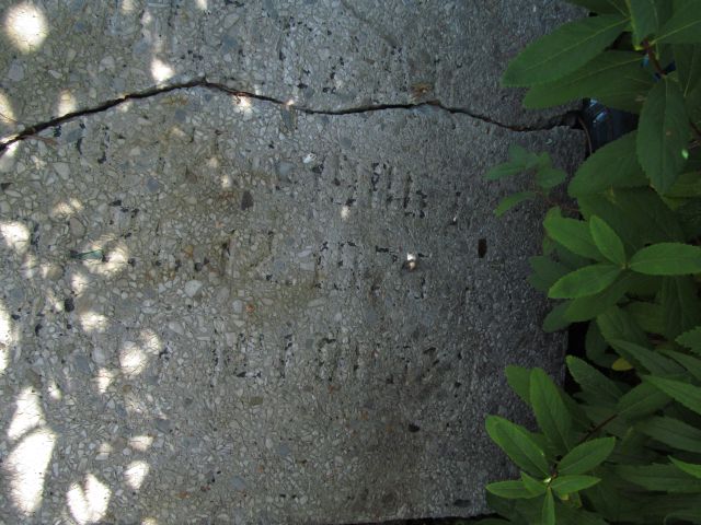 Telka Dutczak 1906 Elbląg - Grobonet - Wyszukiwarka osób pochowanych