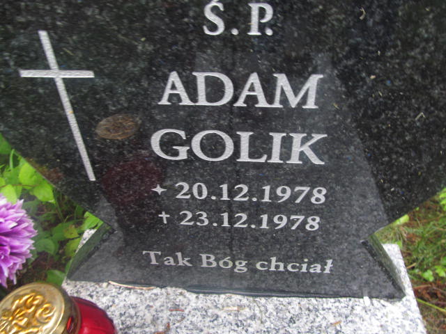 Adam Golik 1978 Elbląg - Grobonet - Wyszukiwarka osób pochowanych