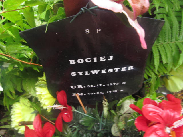 Sylwester Bociej 1977 Elbląg - Grobonet - Wyszukiwarka osób pochowanych