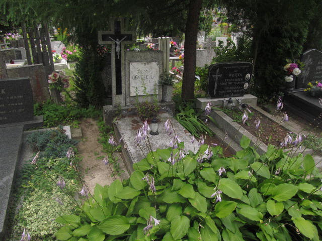 Grób Zygfryd Dederczuk