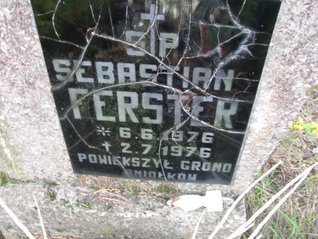 Sebastian Ferster 1976 Elbląg - Grobonet - Wyszukiwarka osób pochowanych