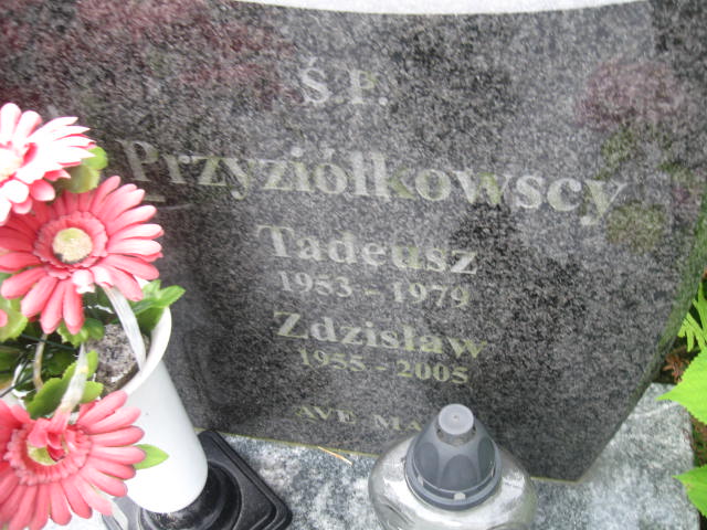 Tadeusz Przyziółkowski 1953 Elbląg - Grobonet - Wyszukiwarka osób pochowanych