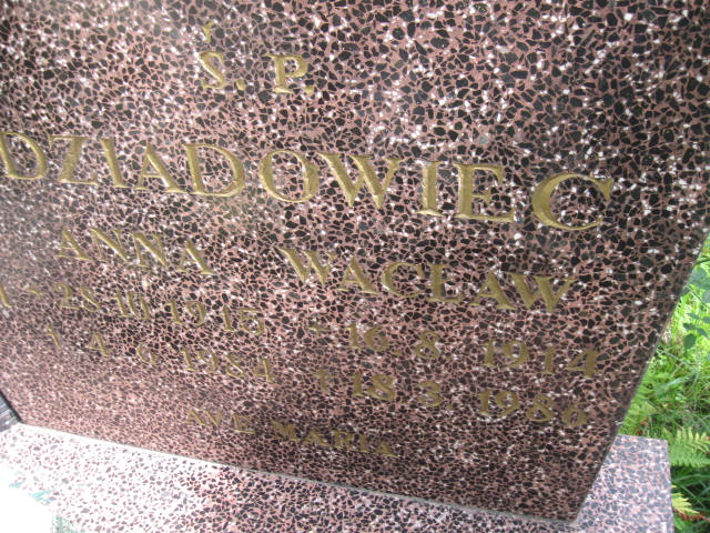 Wacław Dziadowiec 1914 Elbląg - Grobonet - Wyszukiwarka osób pochowanych