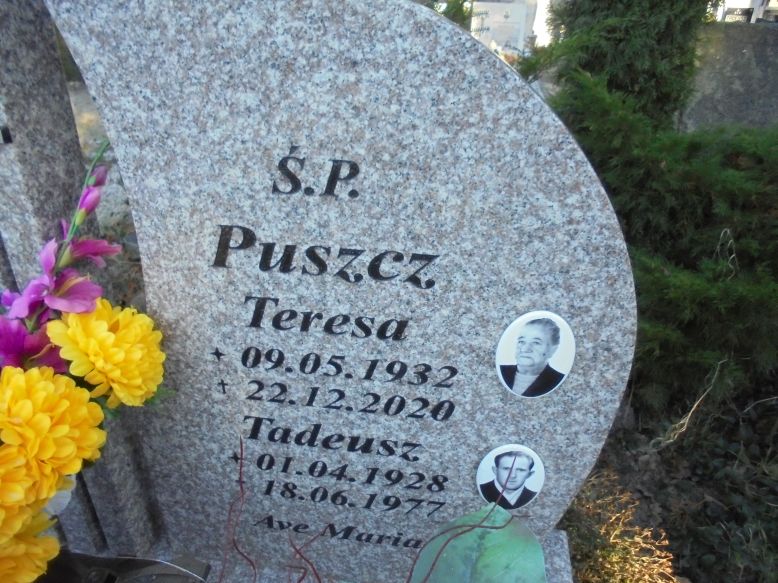 Tadeusz Puszcz 1928 Elbląg - Grobonet - Wyszukiwarka osób pochowanych