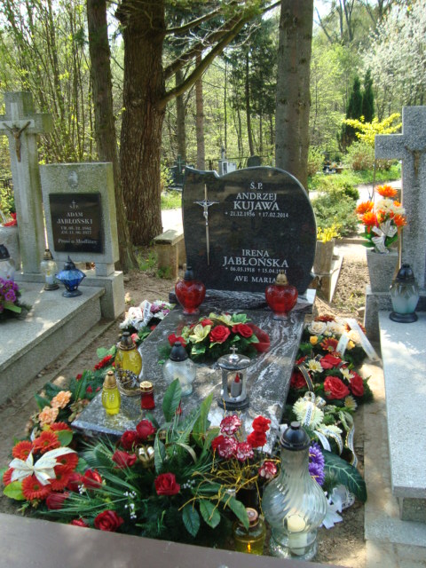 Andrzej  Janusz Kujawa 1956 Elbląg - Grobonet - Wyszukiwarka osób pochowanych