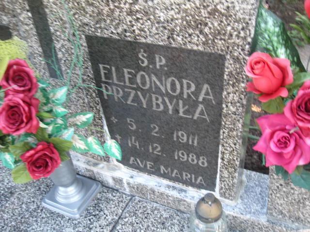 Eugeniusz Wiśniewski 1939 Elbląg - Grobonet - Wyszukiwarka osób pochowanych