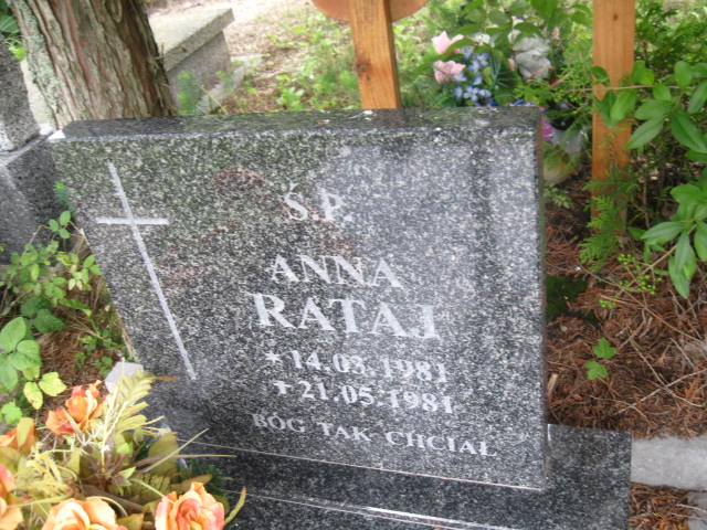 Anna Rataj 1981 Elbląg - Grobonet - Wyszukiwarka osób pochowanych
