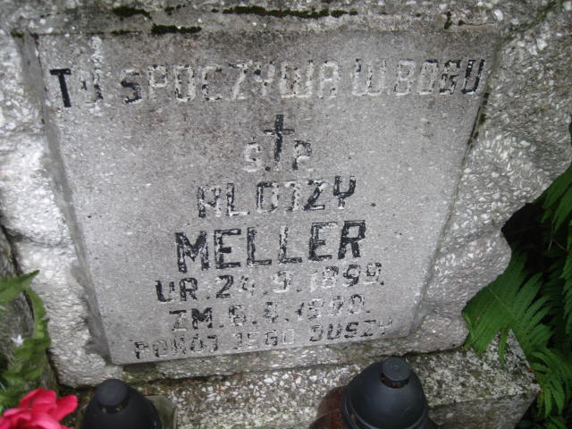 Ewa Meller 1954 Elbląg - Grobonet - Wyszukiwarka osób pochowanych