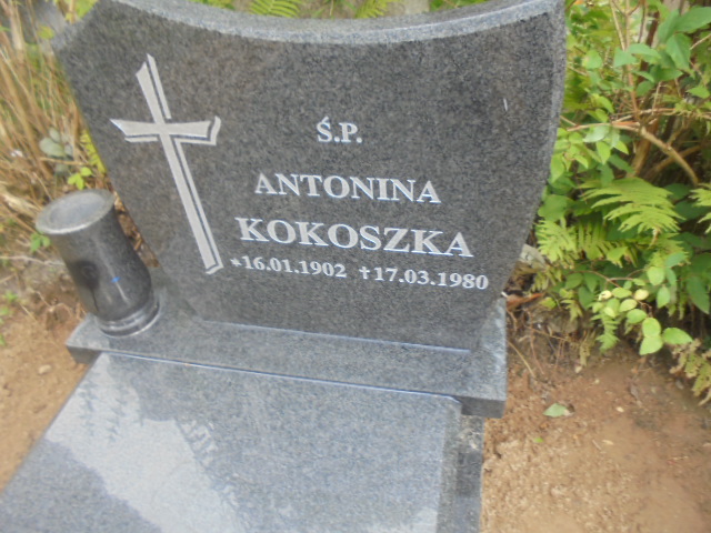 Antonina Kokoszka 1902 Elbląg - Grobonet - Wyszukiwarka osób pochowanych