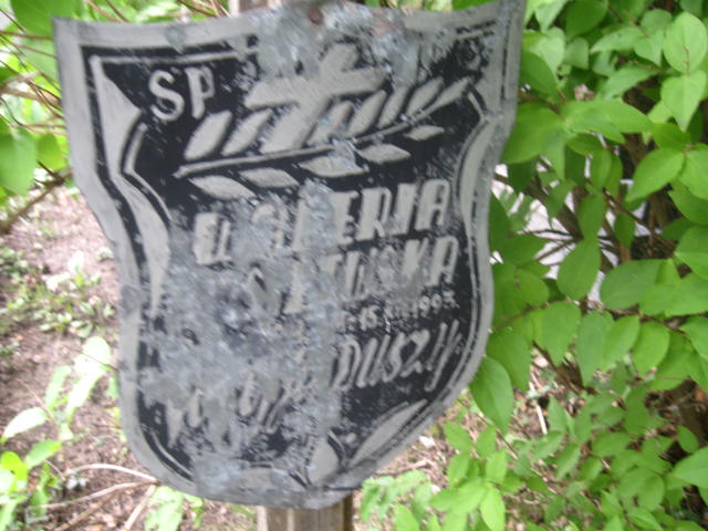 Waleria Wasilewska 1911 Elbląg - Grobonet - Wyszukiwarka osób pochowanych