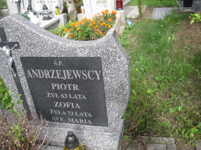 Piotr Andrzejewski 1917 Elbląg - Grobonet - Wyszukiwarka osób pochowanych