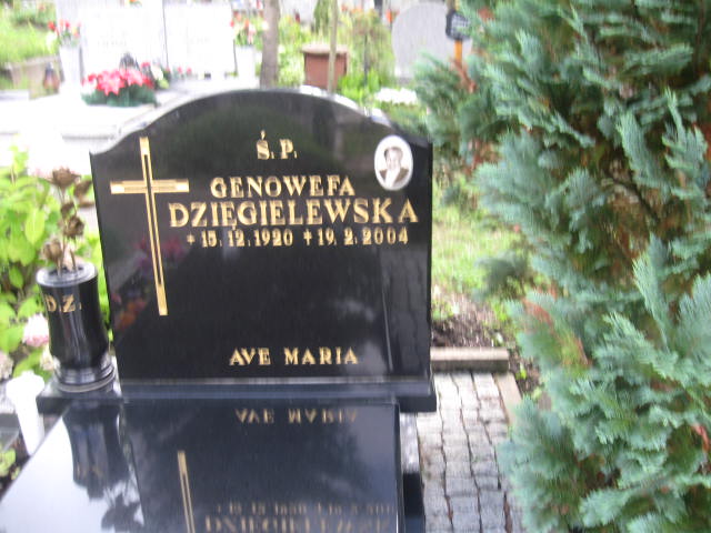 Genowefa Dzięgielewska 1920 Elbląg - Grobonet - Wyszukiwarka osób pochowanych