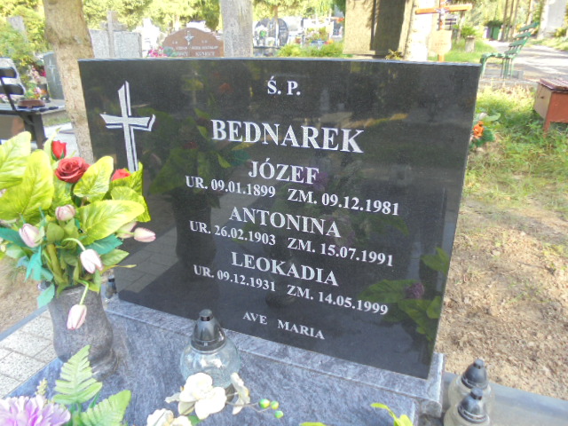 Leokadia Bednarek 1931 Elbląg - Grobonet - Wyszukiwarka osób pochowanych