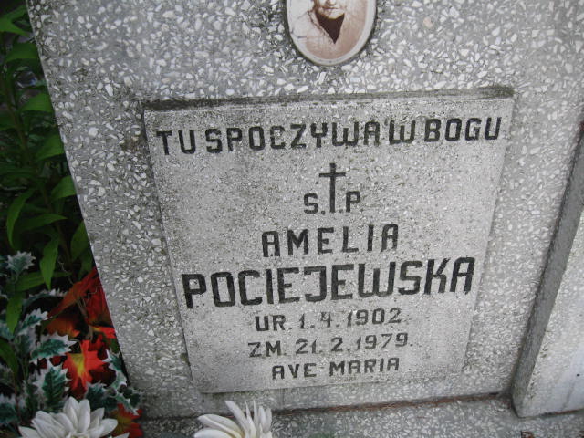 Amelia Pociejewska 1902 Elbląg - Grobonet - Wyszukiwarka osób pochowanych