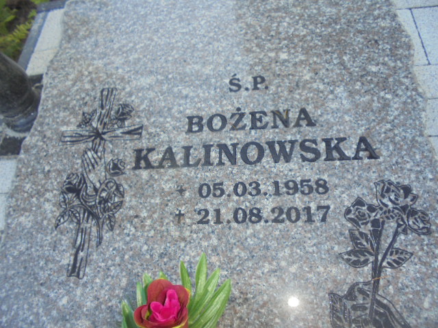 Bożena Kalinowska 1958 Elbląg - Grobonet - Wyszukiwarka osób pochowanych