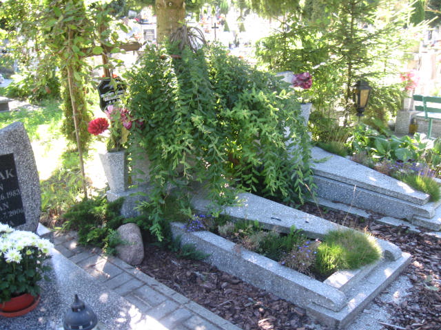 Grób Franciszek Wojciech Browarczyk