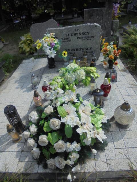 Grób Przemysław   Ludwiński  