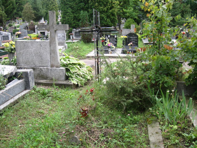 Joanna Zdrojewska 1895 Elbląg - Grobonet - Wyszukiwarka osób pochowanych