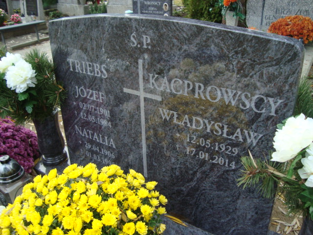 Józef Triebs 1901 Elbląg - Grobonet - Wyszukiwarka osób pochowanych