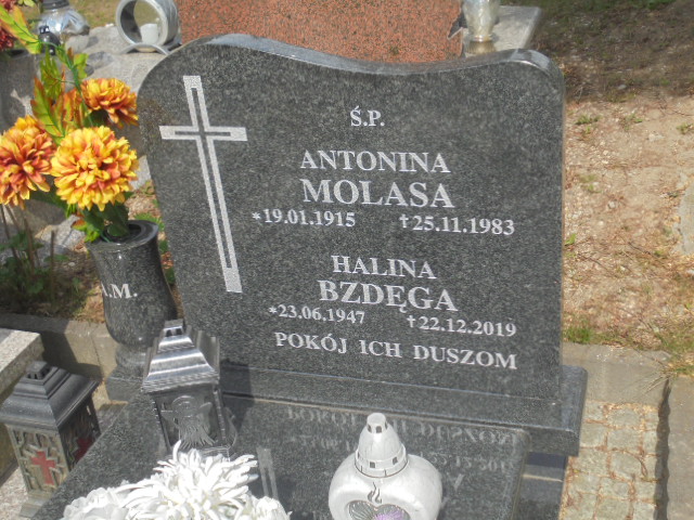 Antonina Molasa 1915 Elbląg - Grobonet - Wyszukiwarka osób pochowanych